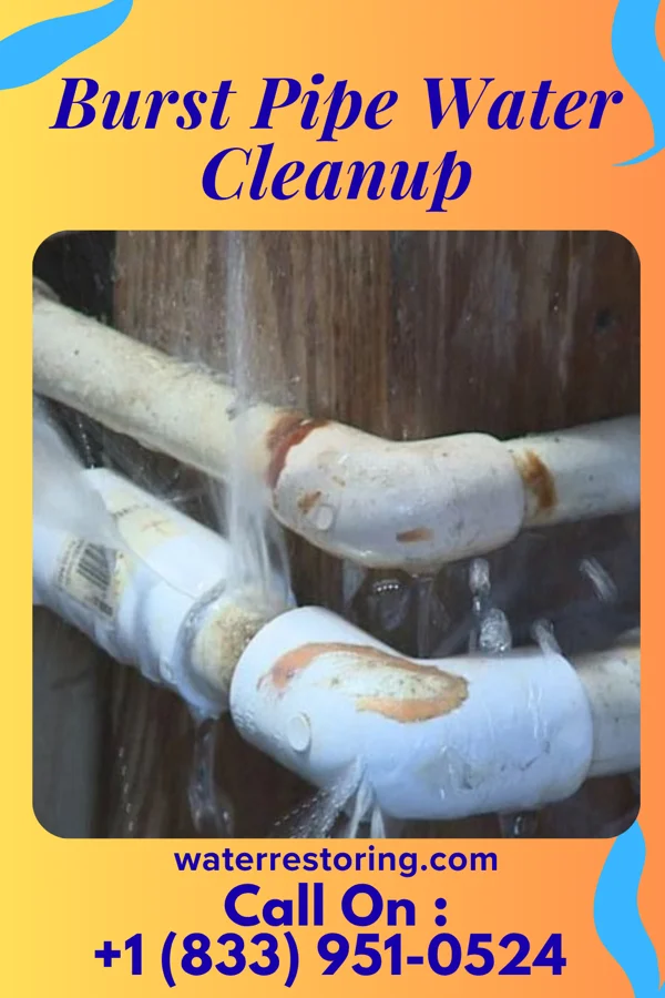 Burst Pipe Water Cleanup in Cable, IL