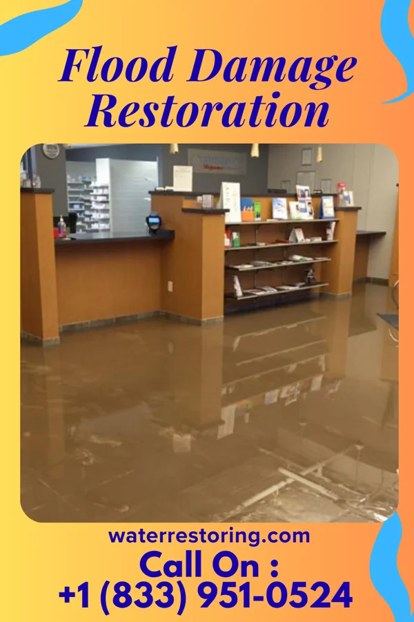 Flood Damage Restoration in Cable, IL
